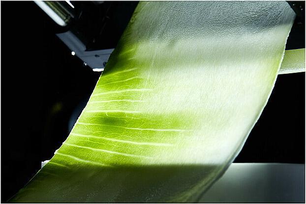 Produktbild Lurch Catto