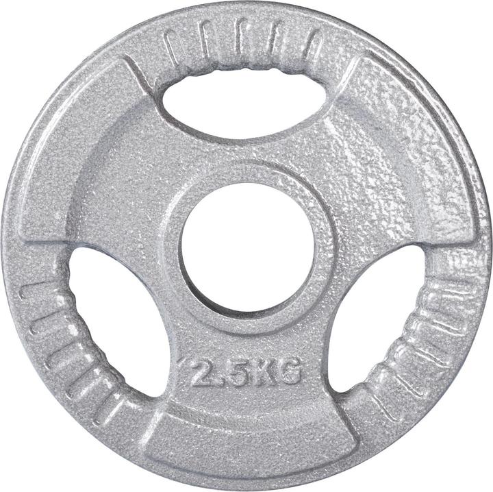 Image du produit Fitcom Hantelscheiben Guss 50 mm (1 x 1 kg)