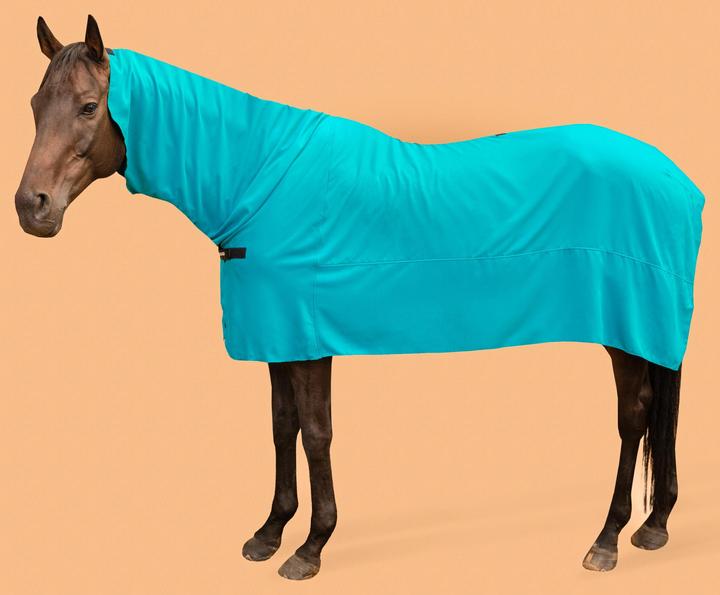 Fouganza Abschwitzdecke Mikrofaser