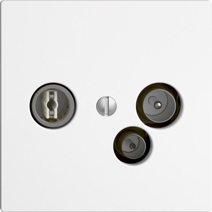 Actual product image Feller MM socket 11dB Edizio UP combi