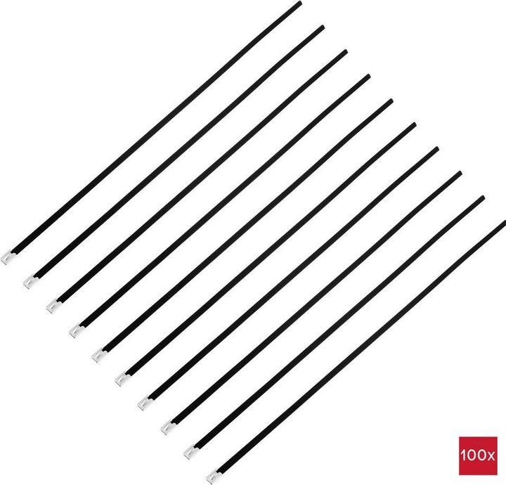 Immagine prodotto Tru Components TC-12656628 Fascetta in acciaio 520 mm 7,9 mm AISI 316 con rivestimento (520 mm, 100 pz.)