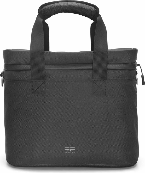 Actual product image EcoFlow River Bag