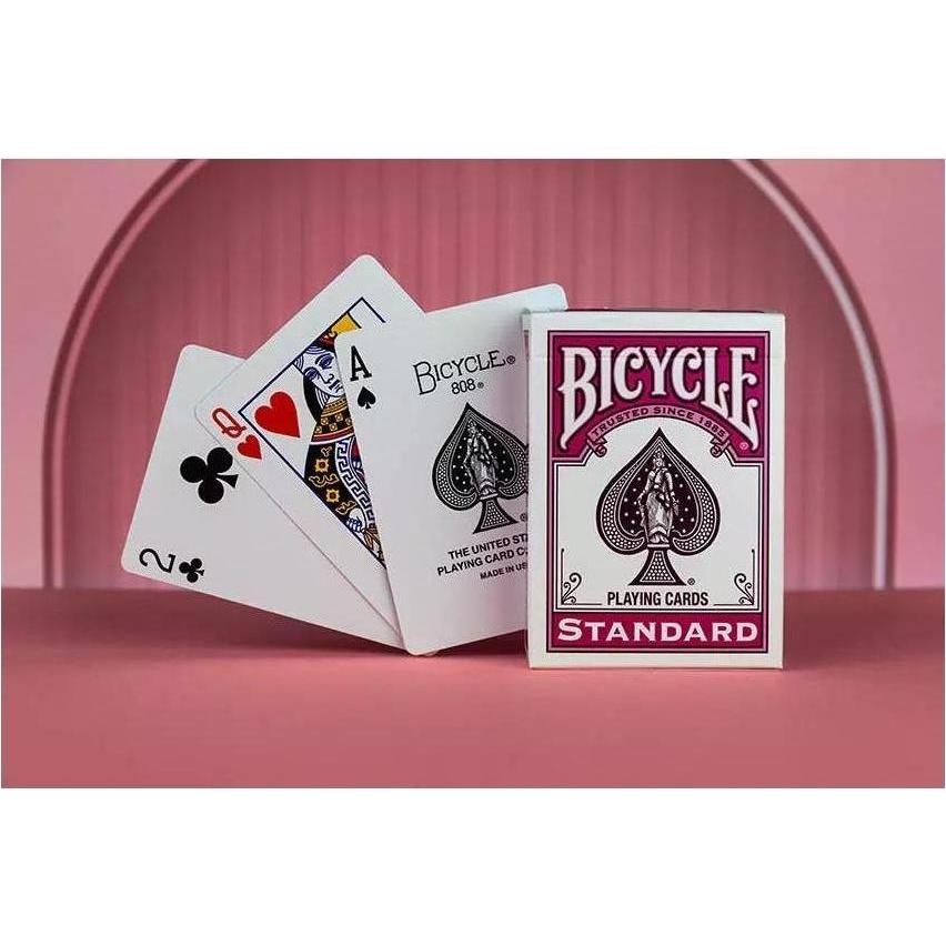 Thumbnail - AGM Bicycle Color Series Berry 1 (Englisch)