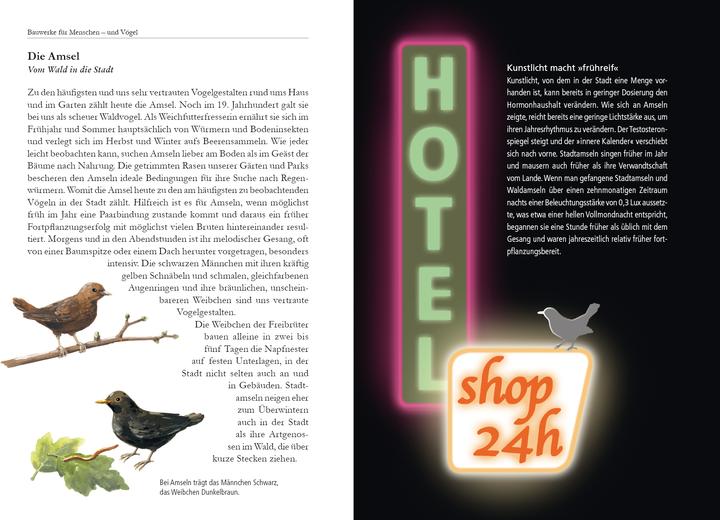 Produktbild Vögel in der Stadt (Deutsch, Dr. Klaus Richarz, Klaus Richarz, Konrad Algermissen, 2015)