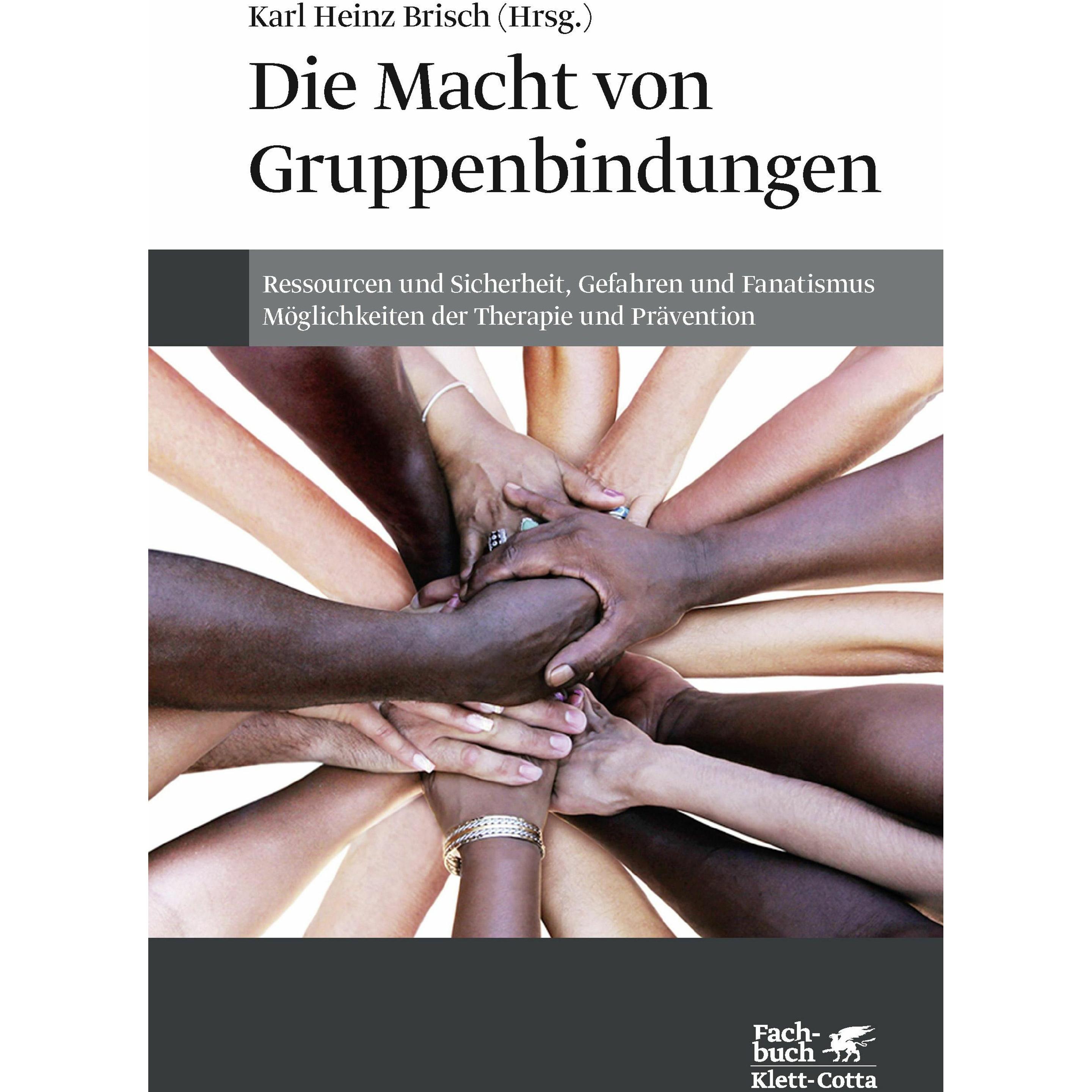 Die Macht von Gruppenbindungen, Fachbücher von Karl Heinz Brisch