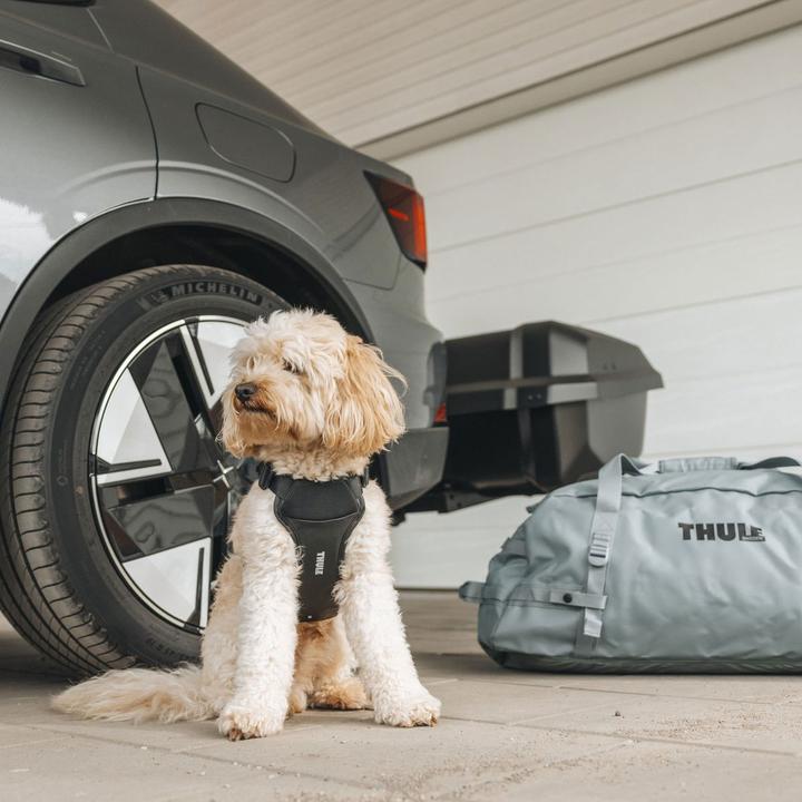 Image du produit Thule Cappy (Chien, Lavable, Respirant)