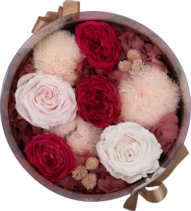 Produktbild Migros Ostschweiz Premium Rosen (Stabilisierte Rosen) in der Pandora Box (Infinity Blumen)