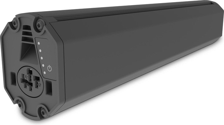 Actual product image E-Bike-Vision Battery Bosch Active (Plus) / Performance (CX) Intube vertical (461 Wh, E-Bike battery)