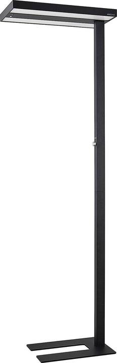 Image du produit Arcchio Nelvana Lampadaire Noir (8000 lm)