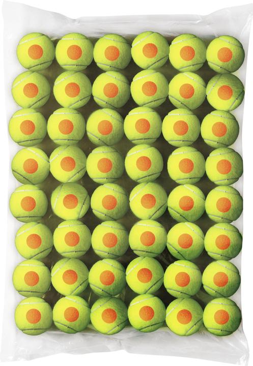 Actual product image Wilson Starter Orange Tball 48 Pack