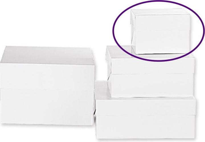 Actual product image Decora Cake box
