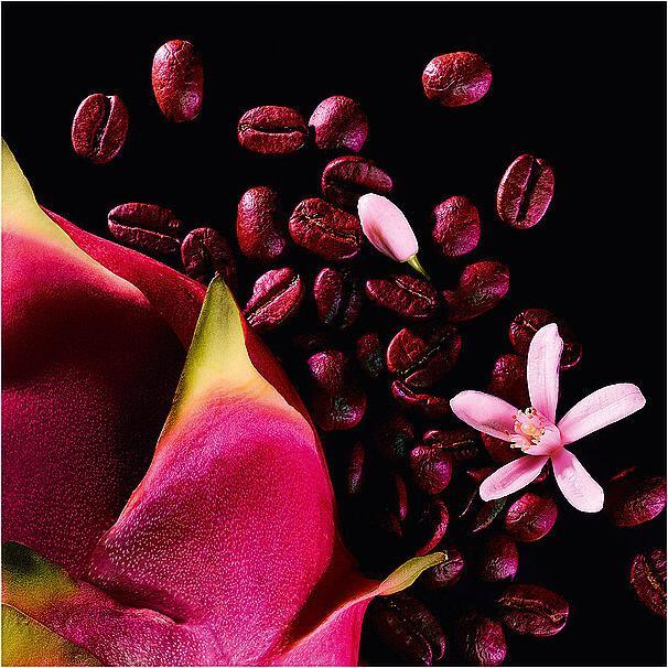 Image du produit Yves Saint Laurent Opium noir néon (Eau de parfum, 75 ml)