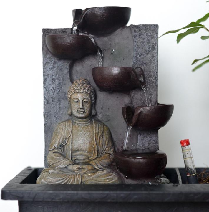Actual product image Plant in a Box Bonsai Ligustrum, Carmona, Ficus Retusa, Syzygium, Sageretia - Set of 2 Bonsai Water System Buddha (25 cm)