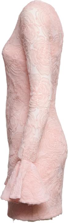 Image du produit Rotate Rosana Mesh Frill Mini Dress (34)