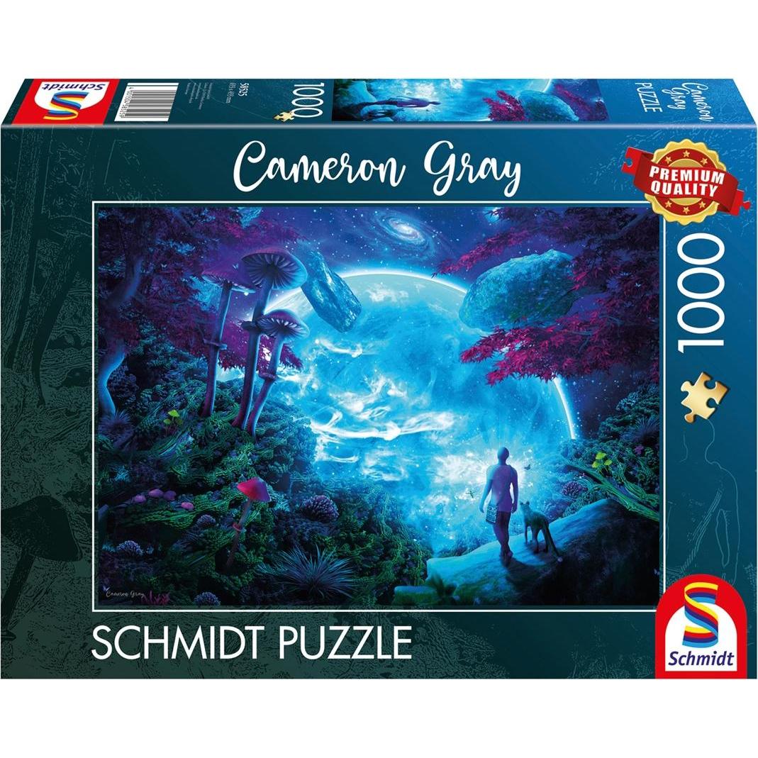 Schmidt Spiele Himmelsfantasie 1000 Teile (1000 Teile)