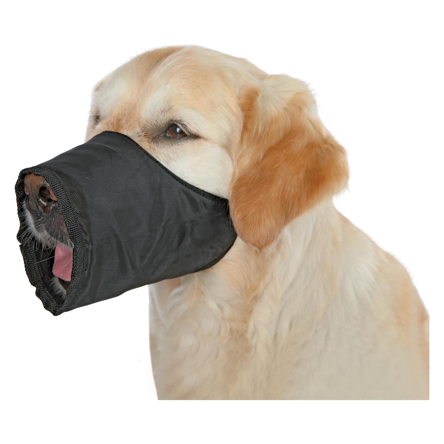 Trixie Maulkorb (L, XL, Hund, Allgemein), Halsband + Leine
