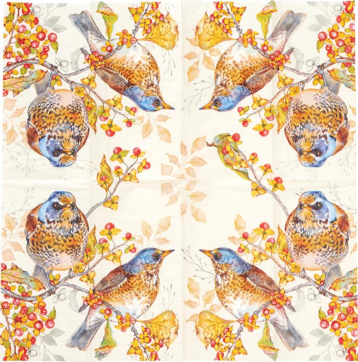 Actual product image IHR Papiertaschentücher "Autumn Birds"