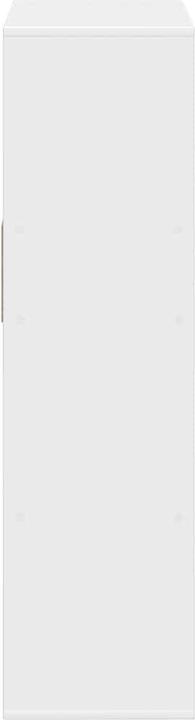 Image du produit vidaXL Bücherschrank (66 x 31 x 112 cm)