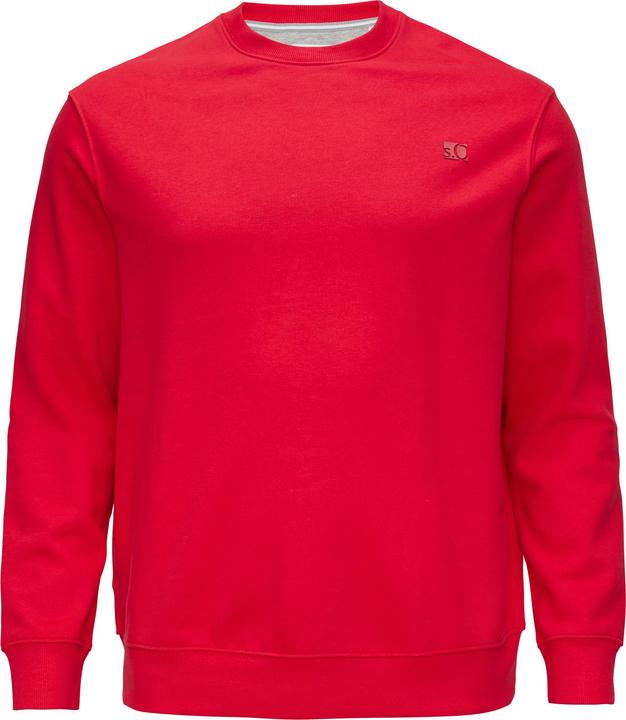 Produktbild s.Oliver Sweatshirt Sweatshirt aus Baumwollmix mit Logo-Detail (5XL)