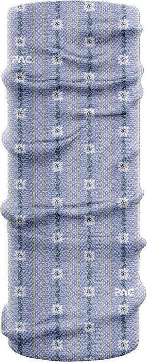 Ailes bleues