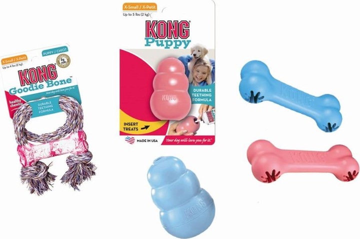 Actual product image KONG Puppy (Dog chew toy)