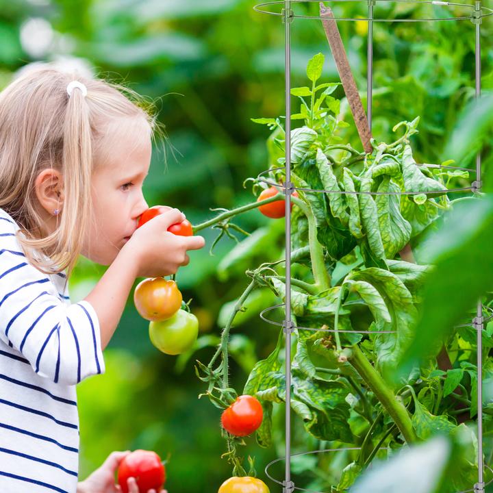 Immagine prodotto Relaxdays Aiuto per l'arrampicata (30 cm, 30 cm)