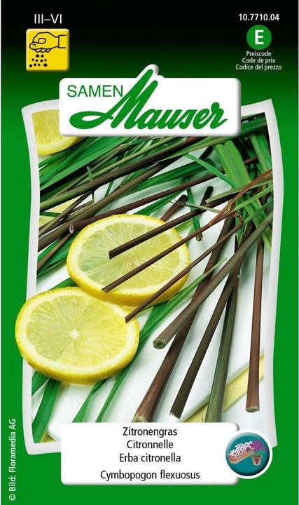 Samen Mauser Zitronengras (Kräutersamen)