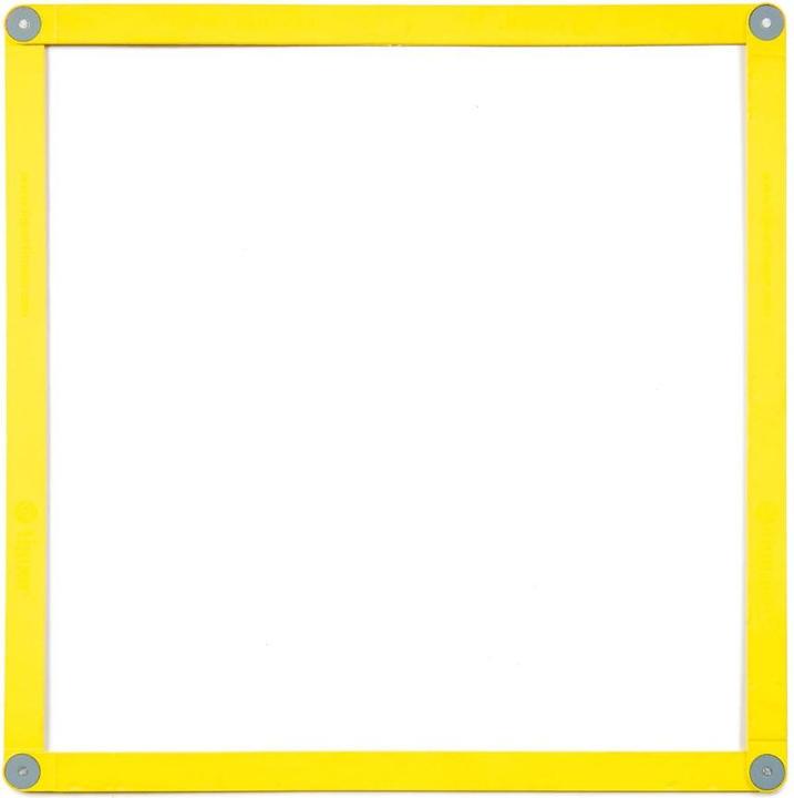 Actual product image Tiguar Speed ladder w. magnets