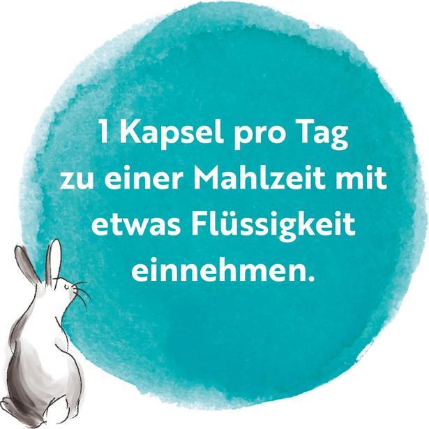 Image du produit Viridian Schwangerschaft & Stillzeit Probio Kapseln Dose 30 Stk (30 pièce(s), Capsules)