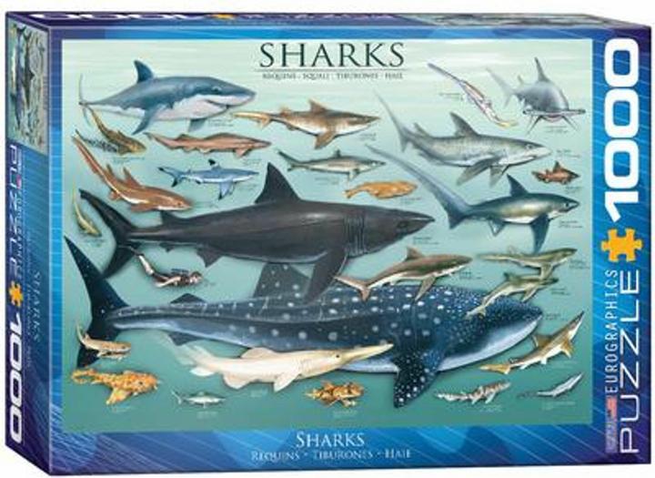 Actual product image Eurographics Sharks (1000 pieces)