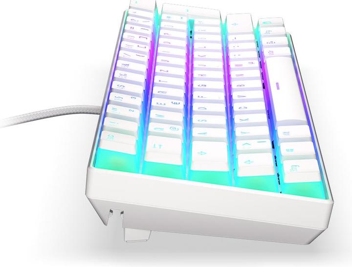 Image du produit Endorfy Thock (Allemagne, Filaire, Sans fil)