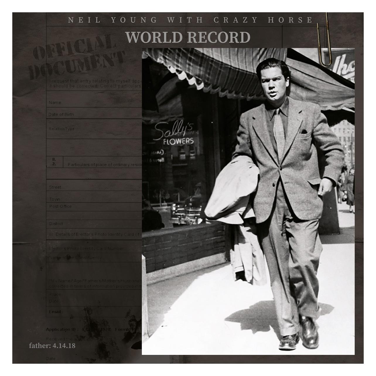 I-Di Wereldrecord, Vinyl