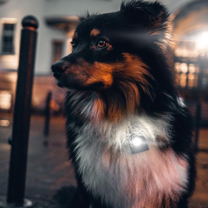 Actual product image Crumpler Mr.Spot neon yellow (10 lm)