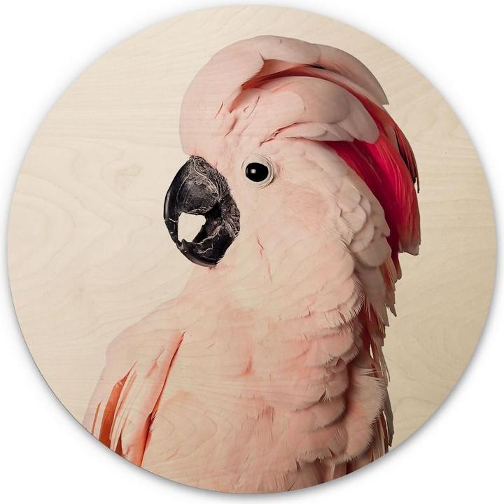 Produktbild Trenddeko Rosa Kakadu (Rund)