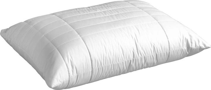 Produktbild Johann Jakob Luna-Flou (65 x 100 cm)