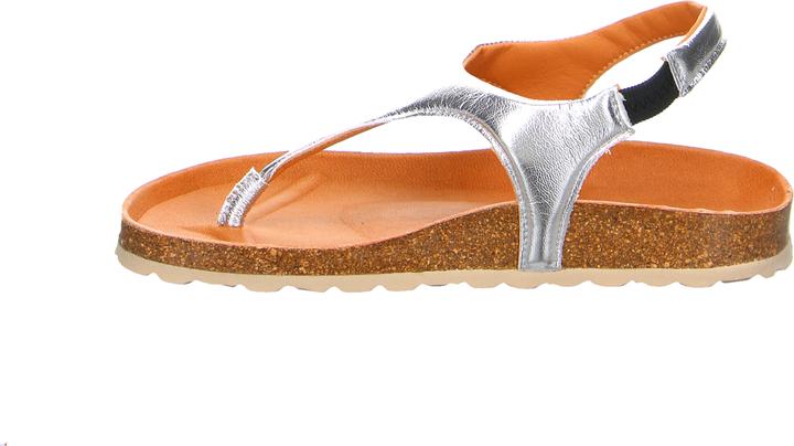 Produktbild Verbenas REAGAN Plata (39)