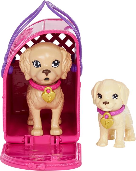 Image du produit Barbie Pup Adoption Doll and Accessories