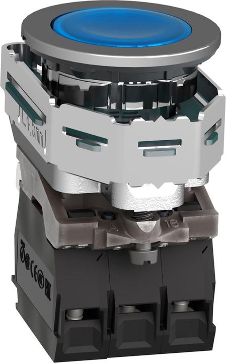 Actual product image Schneider Electric Illuminated pushbutton Harmony XB4F, 30mm, XB4FW36B5
