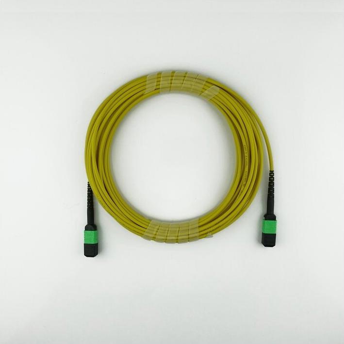 Thumbnail - BlueOptics LWL MTP Trunkkabel Singlemode 32 Kerne 7.5 Meter Typ B (7.50 m), Netzwerkkabel