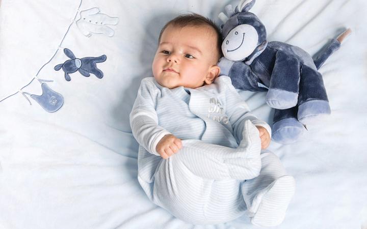 Immagine prodotto Nattou Alex l'asino (24 cm)