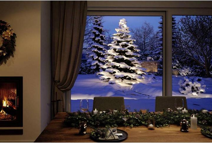 Actual product image Paulmann Outdoor Plug & Shine Lichterkette Yuna (12 m)