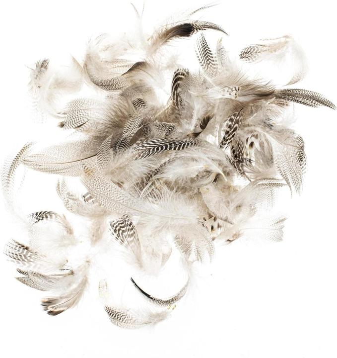 Actual product image Glorex Feathers rooster 5-12 cm, 10g, Brown