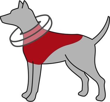 Image du produit Trixie Collier de protection, gonflable (Chien)