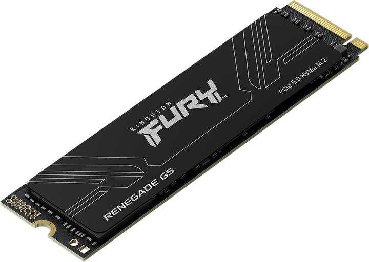 Actual product image Kingston FURY Renegade G5 (1024 GB, M.2 2280)