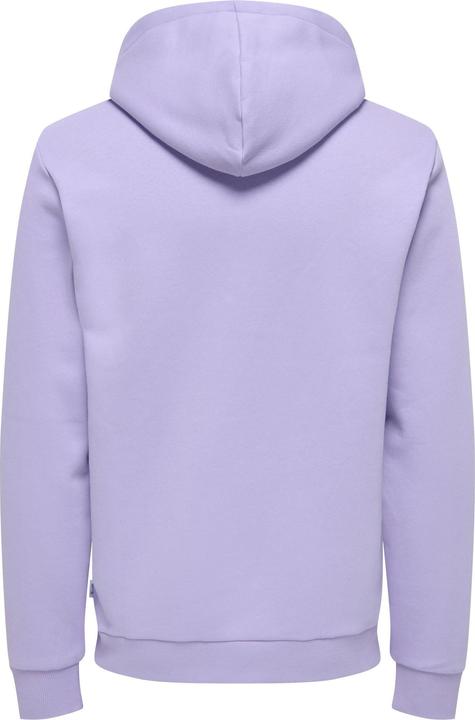 Actual product image Only & Sons Onsceres Hoodie Sweat Noos (XL)