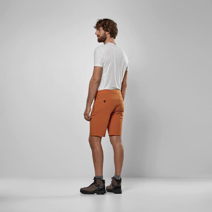 Produktbild Salewa Puez Talveno Durastretch Shorts (XXL)