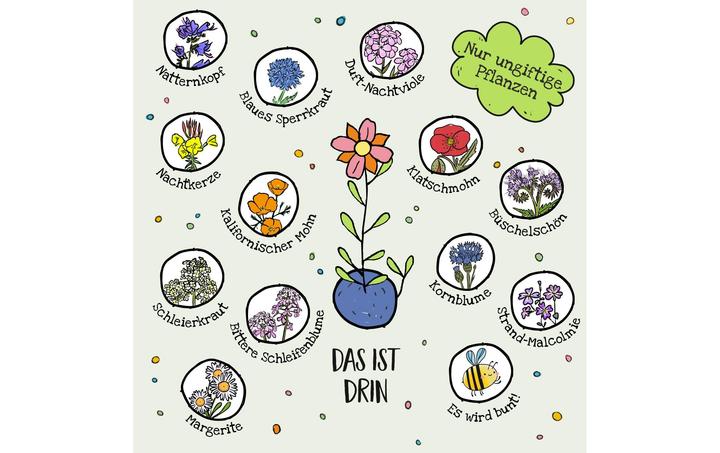 Produktbild Die Stadtgärtner Blumenmurmeln (Blumensamen, Samenbomben)