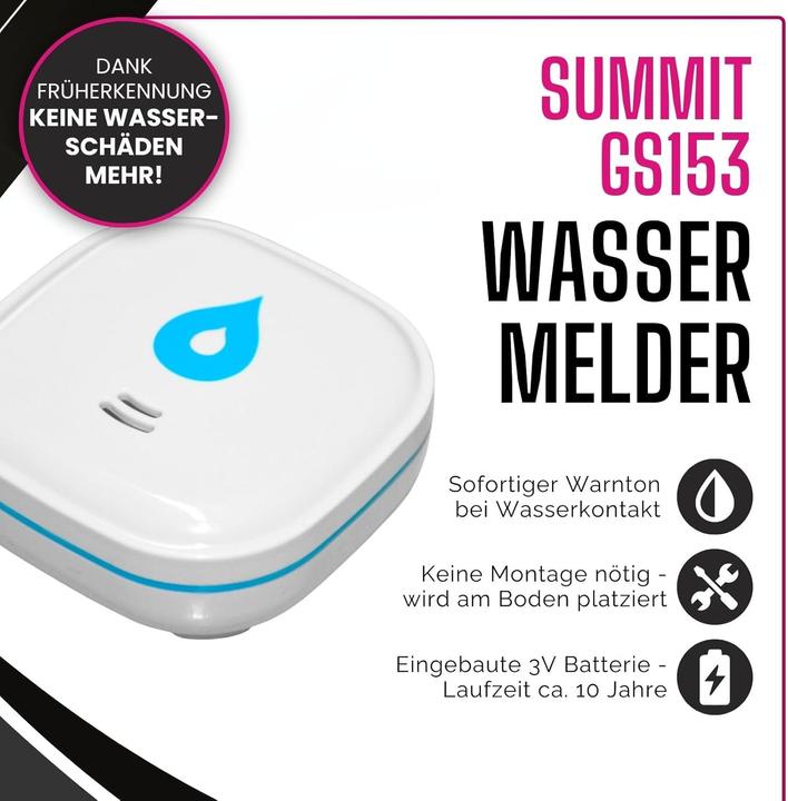 Actual product image Summit Digital Water detector GS153