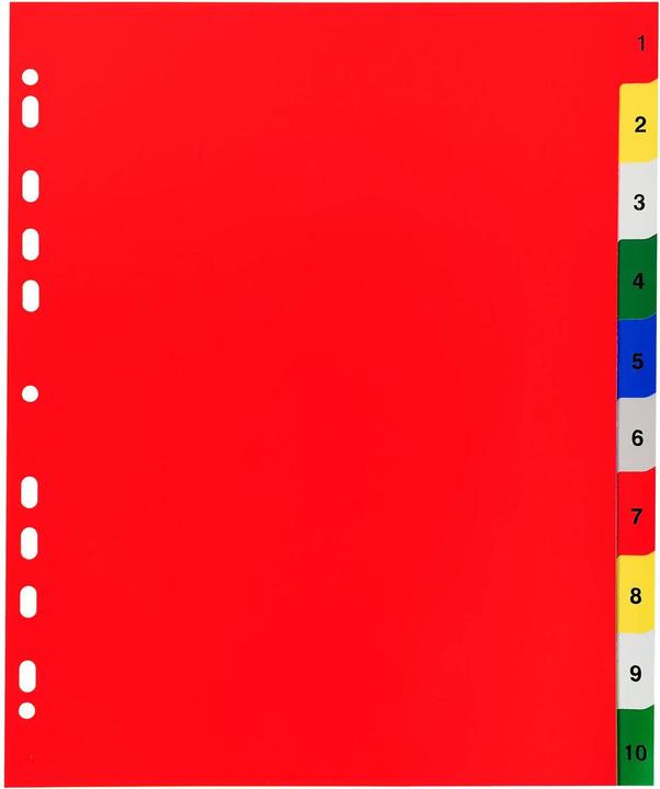 Image du produit Exacompta Intercalaires imprimés numériques PP couleurs 12/100e - 10 positions - A4+ - Assorties vives