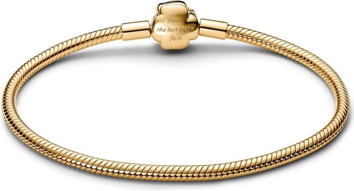 Immagine prodotto Pandora Rose (18 cm, Argento 925)